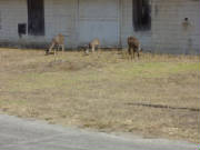 2011013.jpg