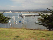 2011016.jpg
