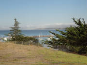 2011018.jpg