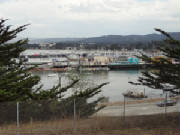 2011020.jpg