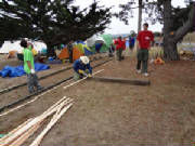 2011081.jpg