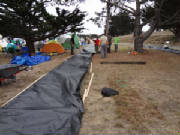 2011083.jpg