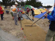 2011085.jpg