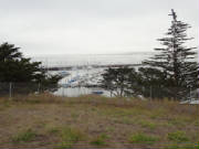 2011088.jpg