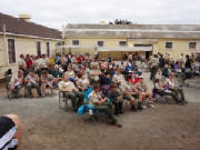 2011151.jpg