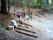 dsc02095.jpg