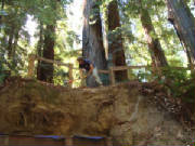 dsc02259.jpg