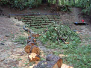 dsc02650.jpg