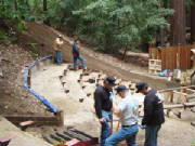 dsc02868.jpg