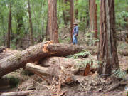dsc02876.jpg