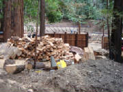 dsc02877.jpg