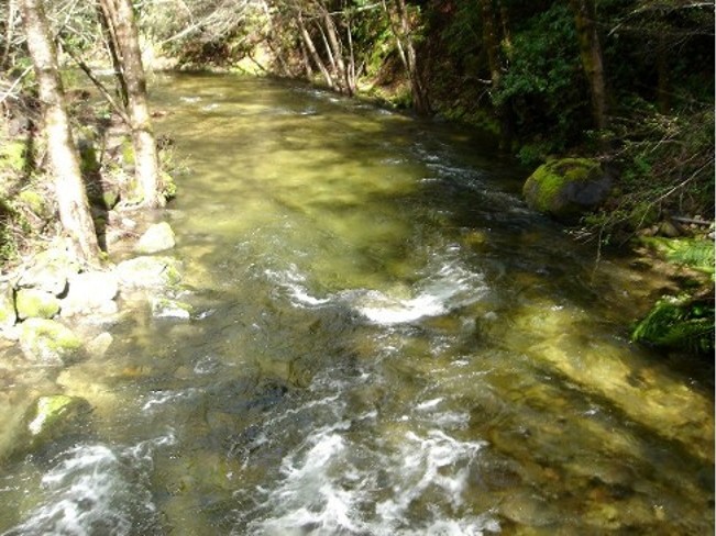 2006_spring_ordeal_003.jpg