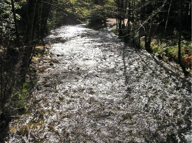 2006_spring_ordeal_008.jpg