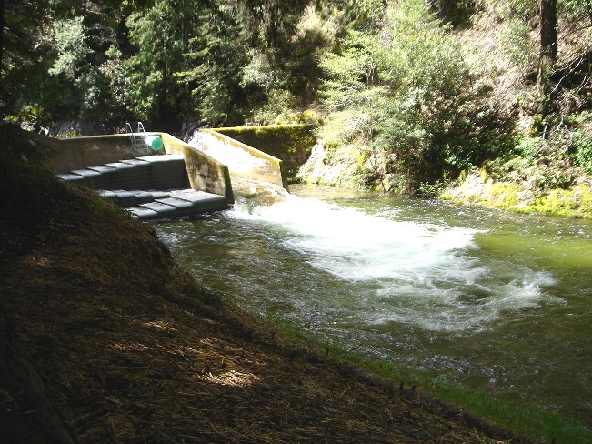 2006_spring_ordeal_021.jpg