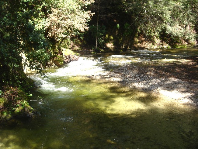 2006_spring_ordeal_028.jpg