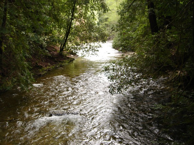 2006_spring_ordeal_040.jpg